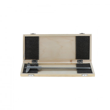 Jauge de profondeur inox - capacité 200 mm