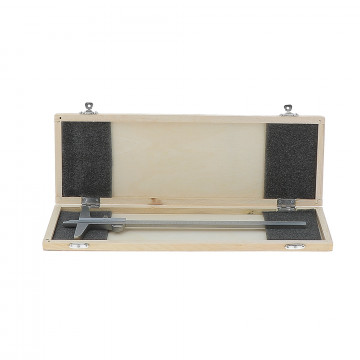 Jauge de profondeur inox - capacité 250 mm