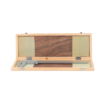 Pied à coulisse spécial lycée 200 mm