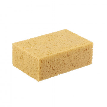 Eponge de lavage
