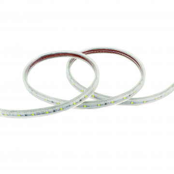 Ruban LED 50 m 345 lm/m 6000°K sécable, à picots