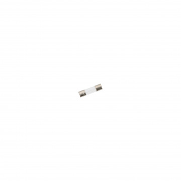 Fusible Action Rapide 500 mA / 250 V